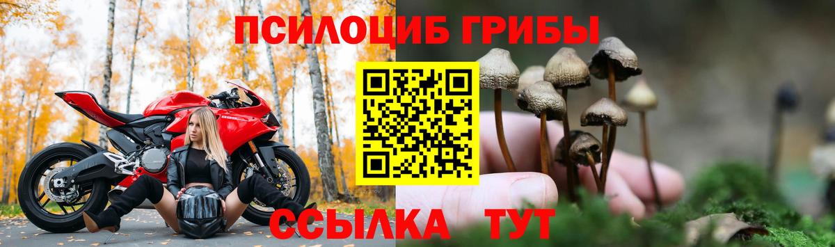 Псилоцибиновые грибы Cubensis  Вход с VPN  Псилоцибиновые грибы Psilocybine cubensis  Зерноград 